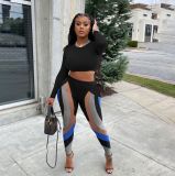 Casual Long Sleeve Two Piece Pants Set YIBF-6119