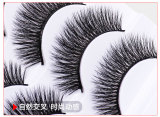 3D Nature Long Bushy Cross False Eyelashes 5 Pairs JBH-3D27