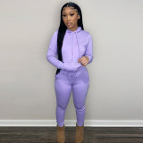 Solid Plush Hoodie Top And Pants 2 Piece Suits CH-8197