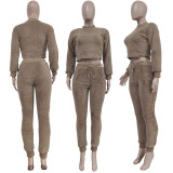 Solid Plush Long Sleeve Two Piece Sets TR-1191