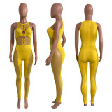Sexy Mesh Patchwork Hollow Out Sleeveless Jumpsuit NIK-269