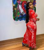 Casual Printed Long Sleeve Maxi Dress WSM-5298