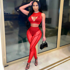 Plus Size Mesh Sleeveless Two Piece Pants Set HNIF-072