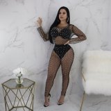 Sexy Mesh Perspective Pearls Two Piece Sets (Without Undergarment)NY-8577
