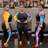 Plus Size Patchwork Long Sleeve 2 Piece Pants Set NY-2016