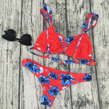 Floral Print Ruffled Bikini Two Piece Sets CASF-8743