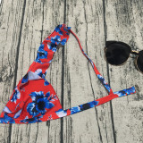 Floral Print Ruffled Bikini Two Piece Sets CASF-8743