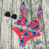 Floral Print Ruffled Bikini Two Piece Sets CASF-8743