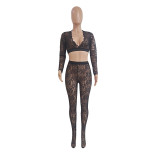 Sexy Lace Crop Top And Pants 2 Piece Sets GCNF-0092