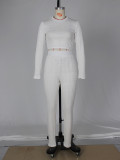 Solid Long Sleeve Slim Two Piece Pants Set ZSD-0444