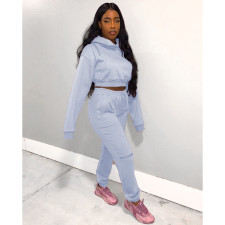 Plus Size Solid Hooded Tracksuit 2 Piece Sets GCNF-0075