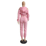 Plus Size Solid Hooded Tracksuit 2 Piece Sets GCNF-0075
