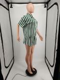 Casual Striped Shirt Top And Shorts 2 Piece Sets YIM-245