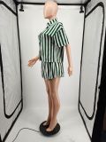 Casual Striped Shirt Top And Shorts 2 Piece Sets YIM-245