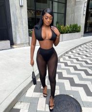 Sexy Sleeveless Crop Top And Mesh Pants Two Piece Sets AL-273
