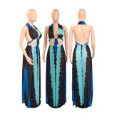 Plus Size Mesh Sexy Print Backless Top And Skirt Two Piece Sets GDYF-6960