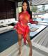 Sexy Mesh Bodysuit+Mini Skirt 2 Piece Sets NIK-279