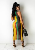 Sheer Sexy Mesh Striped Print Sleeveless Midi Dress GDYF-6994
