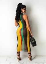 Sheer Sexy Mesh Striped Print Sleeveless Midi Dress GDYF-6994