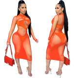 Sexy Swimsuit Solid Color Mesh Two Piece Set GDYF-6987