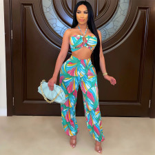 Print Sexy Halterneck Crop Top And Pants  Two Piece Sets GDYF-6667