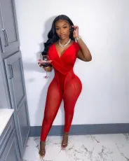 Sexy Mesh Velvet Patchwork Sleeveless Jumpsuit NIK-282