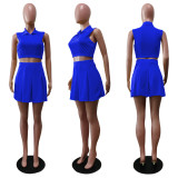 Solid Sleeveless Pleated Mini Skirt 2 Piece Sets BS-1306