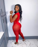 Sexy Mesh Velvet Patchwork Sleeveless Jumpsuit NIK-282