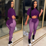 Sexy Mesh Pants+T Shirt Two Piece Sets YS-S807