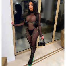 Sexy Mesh See Through Long Sleeve Jumpsuit (With Briefs) LSD-82022