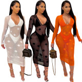Sexy Mesh See Through Club Dress+Lingerie 3 Piece Sets ORY-Y5190