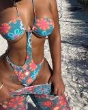 Sexy Mesh Printed Bodysuit+Pants 2 Piece Sets MDF-5297