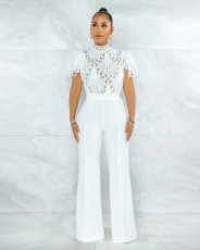 Solid Hollow Out Short Sleeve Top Sexy NIK-290