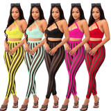 Fashion Sexy Halter Top Mesh Print Pants Two Piece Set FOSF-8211
