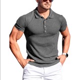 Men's Casual Short Sleeve POLO FLZH-ZT161