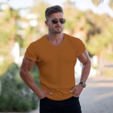 Men's Casual V Neck Short Sleeve T-shirt FLZH-ZT168