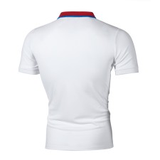 Men Lapel Short Sleeve Casual POLO FLZH-ZT65