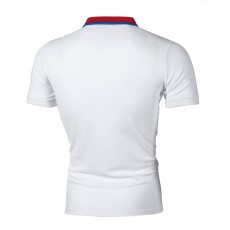 Men Lapel Short Sleeve Casual POLO FLZH-ZT65