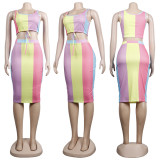 Colorful Printed Sleeveless Midi Skirt 2 Piece Sets NY-2395