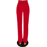Solid High Waist Back Zipper Straight Pants MZ-2677