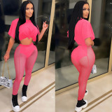 Sexy Solid Color Short Sleeve Top Mesh See-through Pants 2 Piece Sets BY-5700