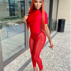 Sexy Mesh See Through Long Pants SH-390286
