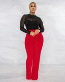 Solid High Waist Back Zipper Straight Pants MZ-2677
