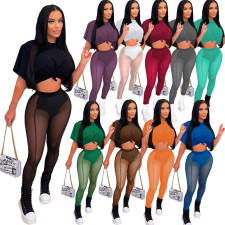 Sexy T Shirt+Mesh Pants Two Piece Sets ME-8062