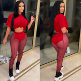 Sexy Solid Color Short Sleeve Top Mesh See-through Pants 2 Piece Sets BY-5700