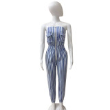 Sexy Striped Strapless Jumpsuit ZSD-0464