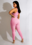 Houndstooth Mesh Patchwork Sleeveless Jumpsuit ZSD-0457