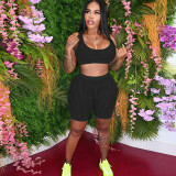 Sexy Mesh See Through Two Piece Shorts Sets (Without Underwear) FSL-F196