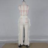 Sexy Knit Tassel Hollow Out Two Piece Pant Sets ZSD-0225