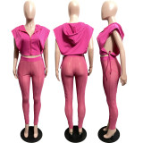 Sexy Hooded Split Top+Mesh Pants 2 Piece Sets FOSF-8220